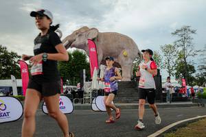 BIB: 
                            <button type="button" onclick="openModal(26528628)" class="btn btn-primary btn-sm float-right btn-popup" data-toggle="modal" data-target=".modal-high-quality">
                        <i class="fas fa-shopping-cart"></i> Add to Cart
                    </button>
                                            <button type="button" onclick="isThisMe(26528628, true)" class="btn btn-success btn-sm float-right btn-popup btn-isme hidden" data-toggle="tooltip" data-placement="bottom" title="นี่คือรูปของคุณใช่ไหม คลิกที่นี่เพื่อเอาเข้าอัลบั้ม">
                        <i class="fas fa-plus"></i> Add to album
                    </button>
                    <button type="button" onclick="isThisMe(26528628, false)" class="btn btn-warning btn-sm float-right btn-popup btn-isnotme hidden">
                        <i class="fas fa-ban"></i> Remove from album
                    </button>